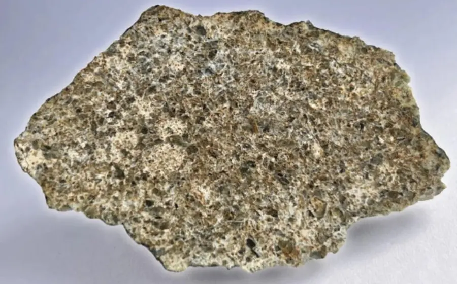 Primer plano de un meteorito rocoso encontrado en el Sahara, que los científicos investigan por su posible origen en la corteza del planeta Mercurio.