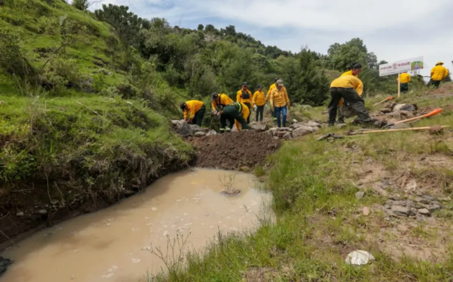 Activistas y defensores del territorio advierten sobre los crecientes riesgos de violencia que enfrentan los ambientalistas y sus familiares en México.