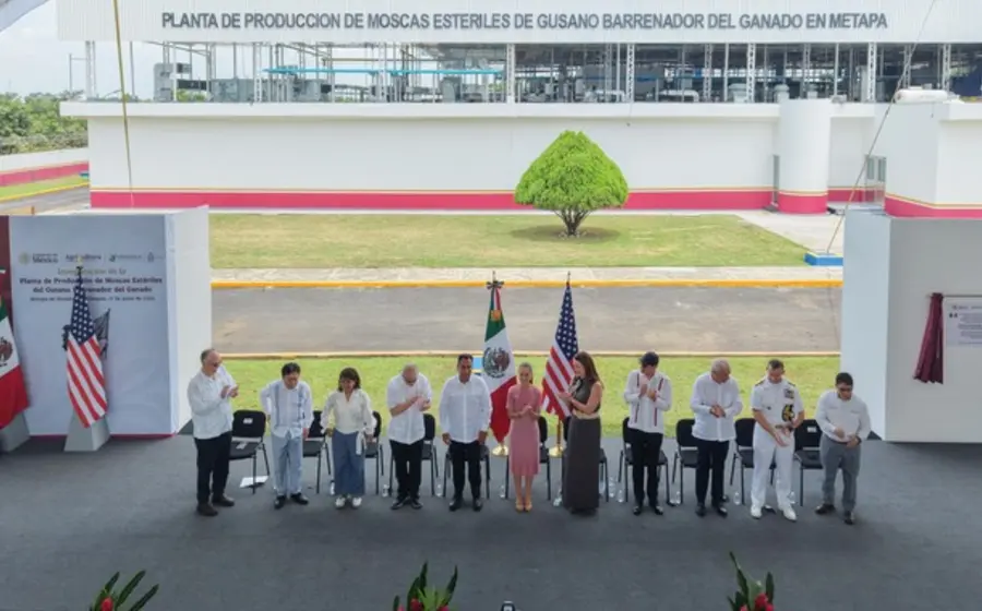 Claudia Sheinbaum durante la inauguración de la planta en Chiapas para combatir al gusano barrenador mediante la producción de moscas estériles.