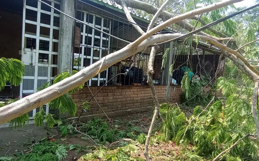 La tormenta dañó viviendas y espacios educativos.