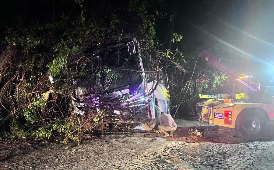  El autobús se impactó contra un árbol tras salir del camino.
