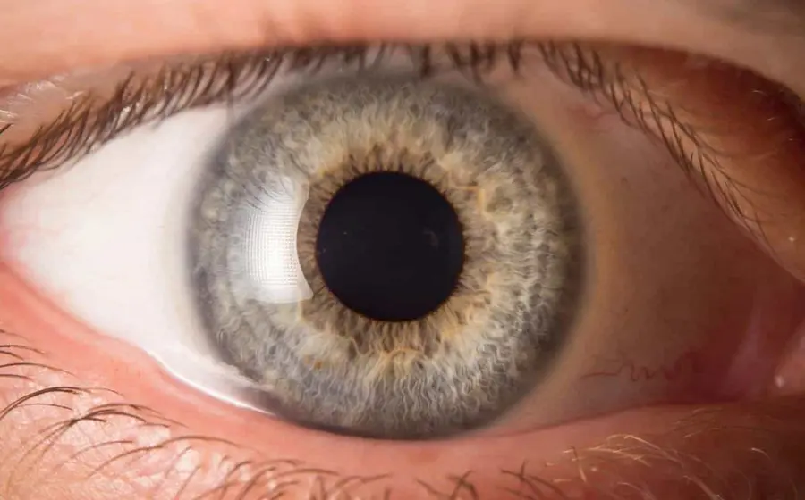 Una ilustración científica que muestra cómo la actividad pupilar del ojo humano refleja las distintas fases del procesamiento y consolidación de la memoria.