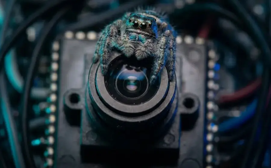 La tecnología SpiderCam, una cámara 3D de bajo consumo inspirada en la visión de una araña para cambiar la robótica.