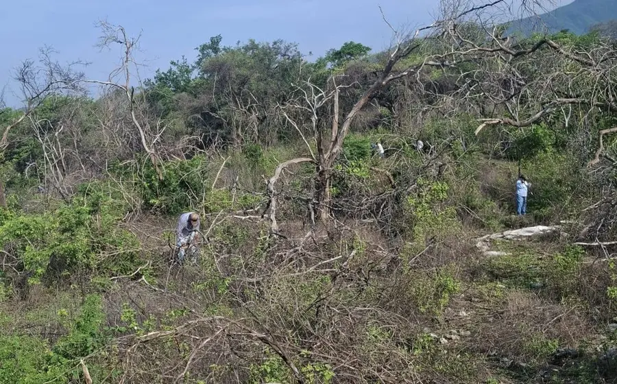 Comuneros de Santa María Mixtequilla impulsan un plan de reforestación, anunciando una jornada que se realizará el próximo 2 de julio en la comunidad.