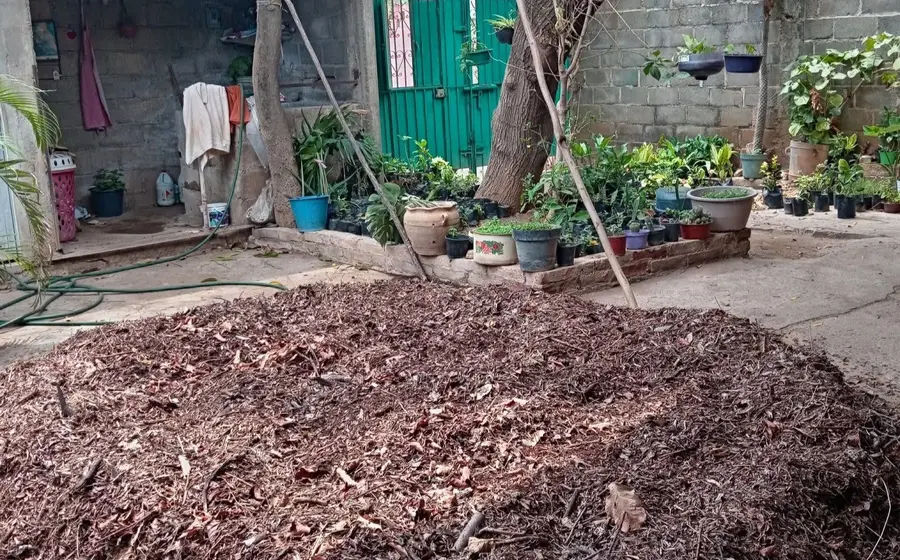 Montones de basura quemándose al aire libre, una práctica que ilustra la crisis ambiental por falta de políticas de reciclaje en el Istmo.