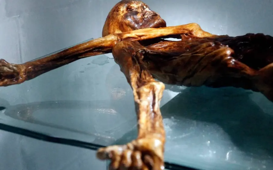 Un pan horneado por científicos utilizando la levadura encontrada en los intestinos de la momia Ötzi, de 5 mil 300 años de antigüedad.