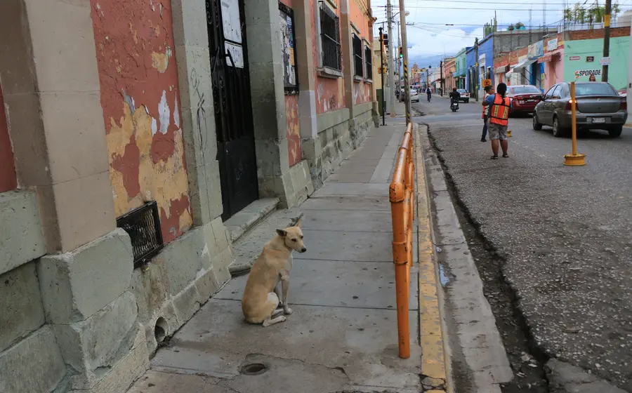 Escuelas en Oaxaca reciben nuevo equipo, mobiliario y uniformes como parte de una inversión millonaria para fortalecer la educación en el estado.