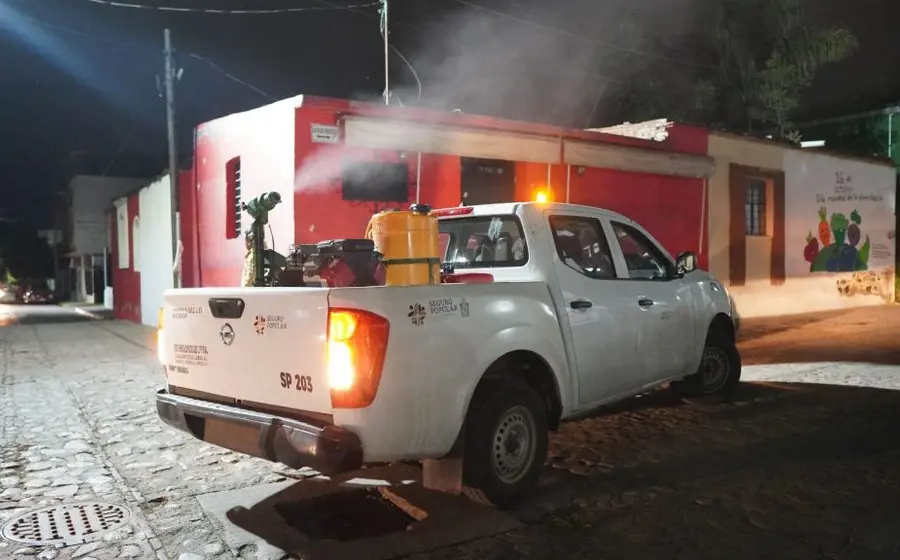 Una severa plaga de mosquitos afecta a los habitantes de Juchitán, quienes expresan su temor por un posible brote de dengue y chikungunya.