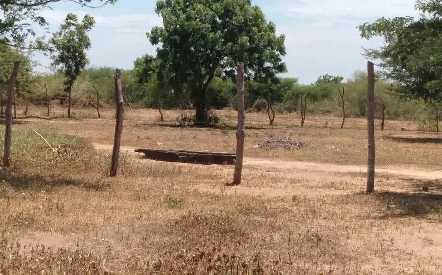 Campaña de reforestación en la comunidad de El Jordán para impulsar la conciencia ambiental y frenar la tala inmoderada de árboles.