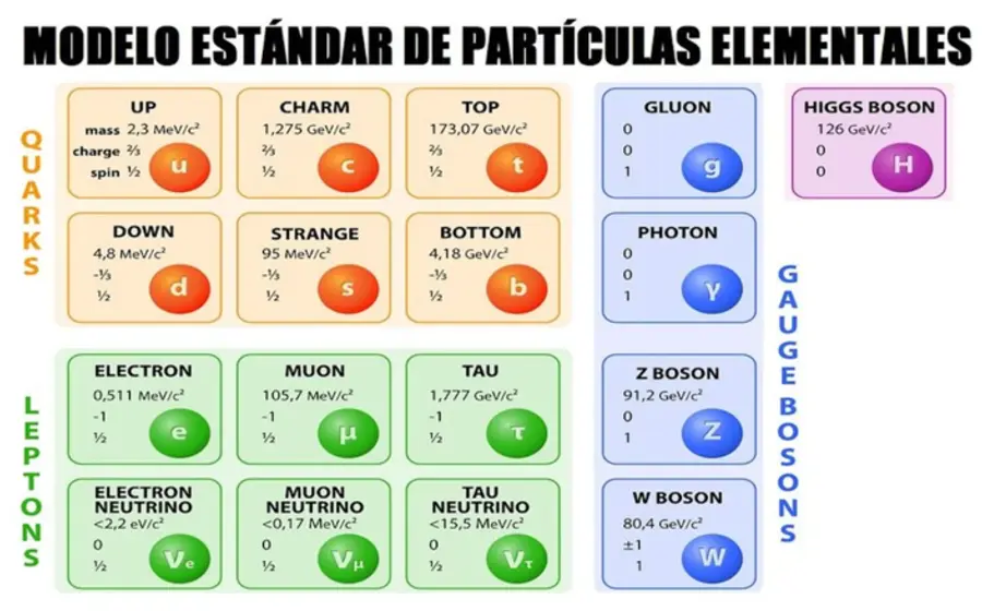 Ilustración que muestra la composición de protones y neutrones, explicando cómo los quarks son la base fundamental de toda la materia visible.