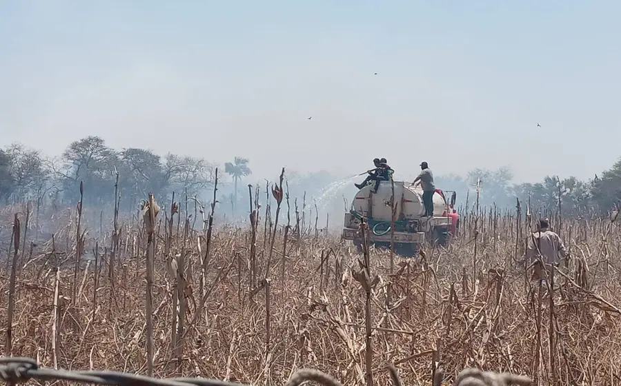 Temporada de incendios: Protección Civil recuerda evitar quemas de pastizales.