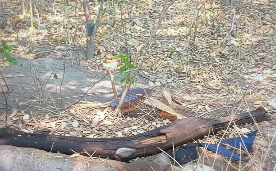 Un hombre fue localizado en estado de descomposición en el paraje La Bomba, en Santo Domingo Tehuantepec.
