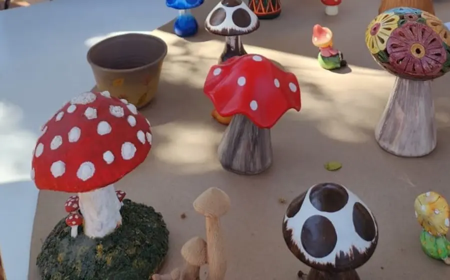 Una variedad de hongos silvestres de Oaxaca, mostrando las diversas formas y colores que representan el poder oculto de la micología en la región.