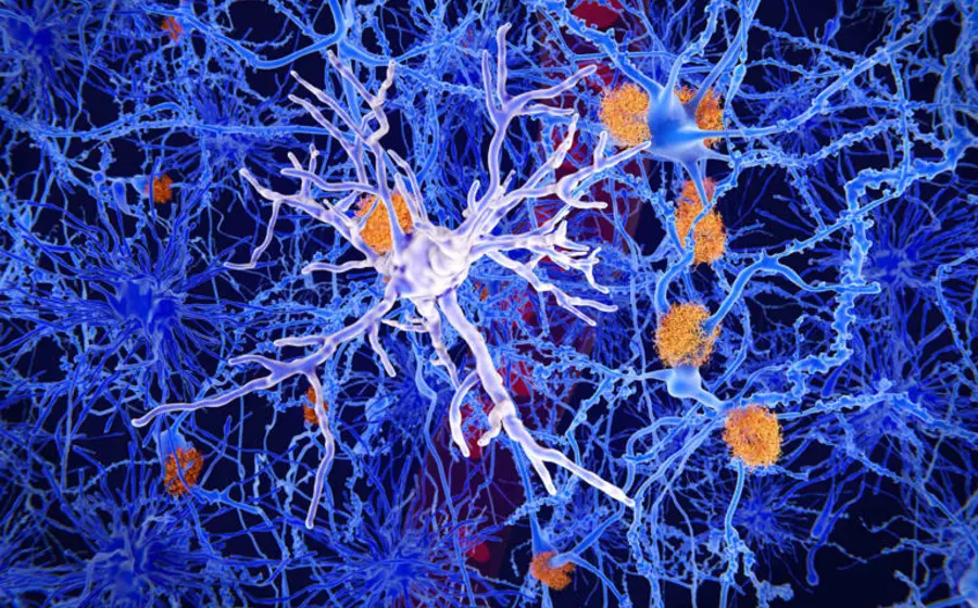 Ilustración científica del cerebro que muestra el sistema de comunicación oculto, cuyo hallazgo podría ayudar a entender el Alzheimer y Parkinson.