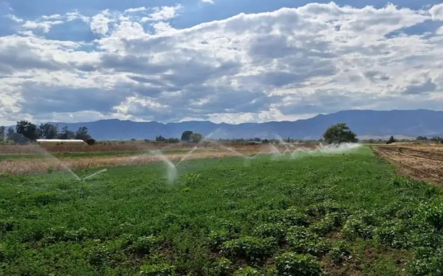 Oaxaca apuesta por el campo: formalizan unidades de riego para mejorar productividad. 