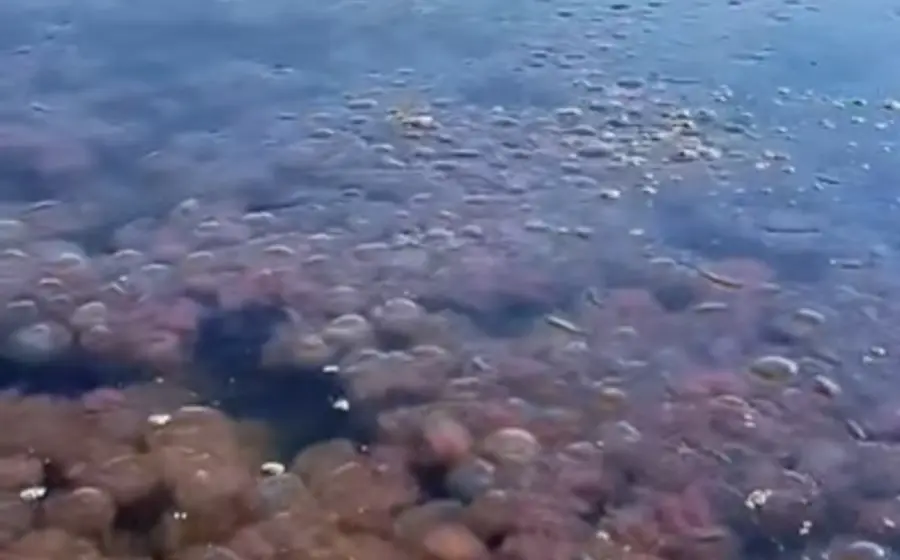 El fenómeno fue captado en video.