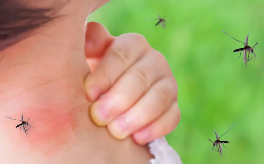 Dengue golpea Oaxaca: fallece un niño y activan alerta por criaderos domésticos.