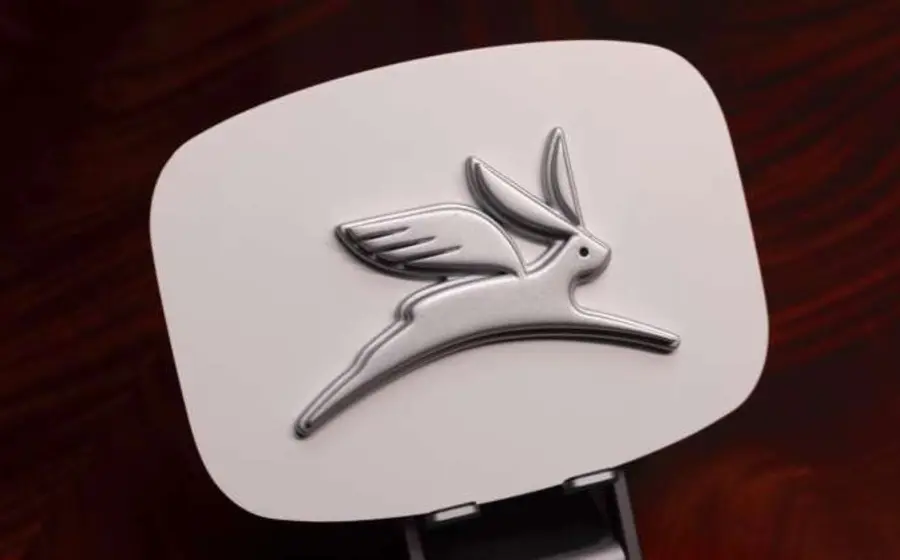 El corazón de Oaxaca quedó plasmado en el logo de Olinia.