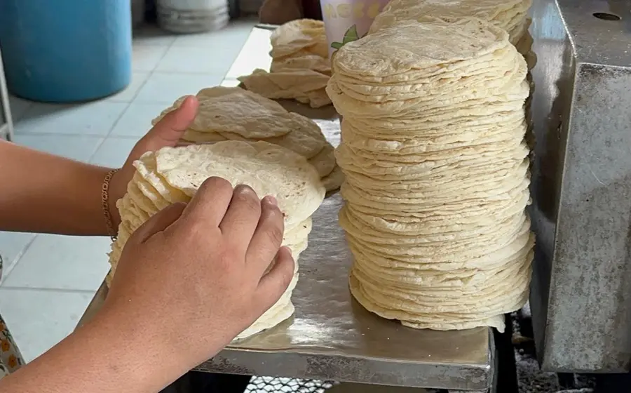 Un kilo de tortillas de maíz recién hechas, cuyo precio ha subido hasta 28 pesos en localidades del Istmo de Tehuantepec, afectando la economía.