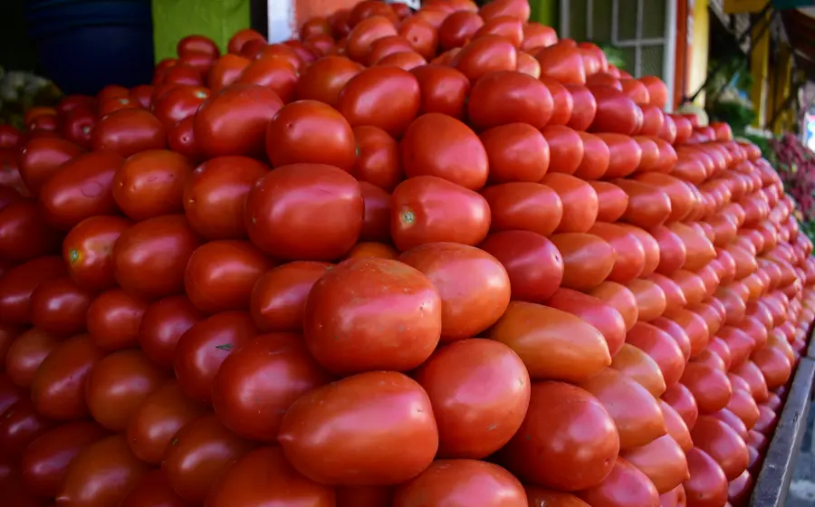 Varios jitomates rojos en un mercado, cuyo precio aumentó 121.1% anual, un factor clave en el alza del costo de la canasta básica.