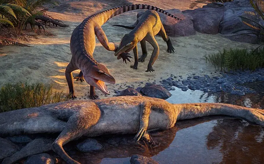 El fósil de un depredador antiguo, primo del cocodrilo, hallado en el yacimiento de Ghost Ranch que data del período Triásico.