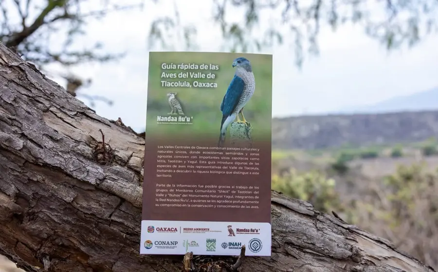 La nueva guía ambiental sobre el santuario de aves de Tlacolula, Oaxaca, que documenta el 'tesoro alado' con más de 115 especies.