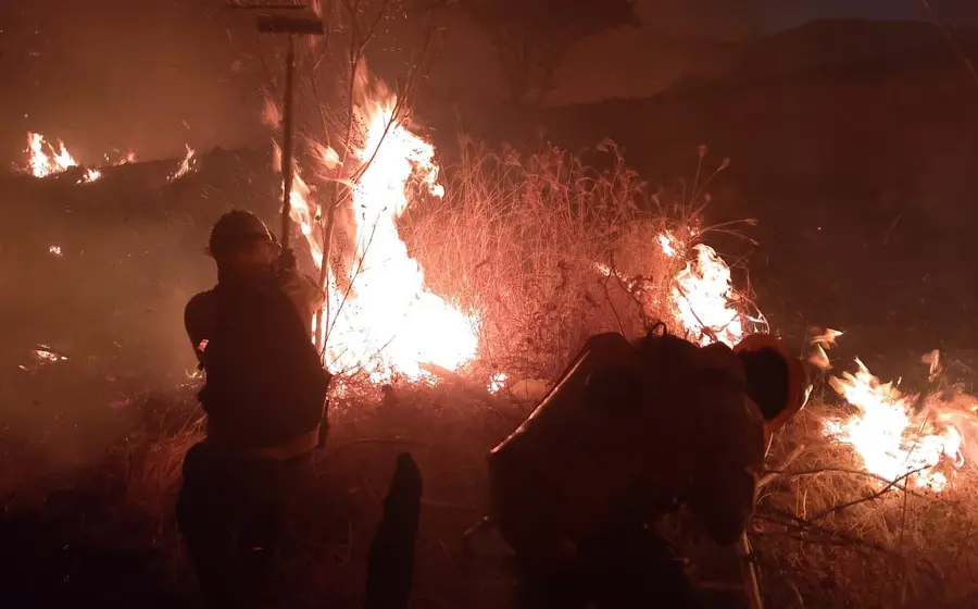 Un incendio forestal devasta una zona boscosa en Oaxaca, estado que ocupa el segundo lugar nacional en afectaciones por estos siniestros.