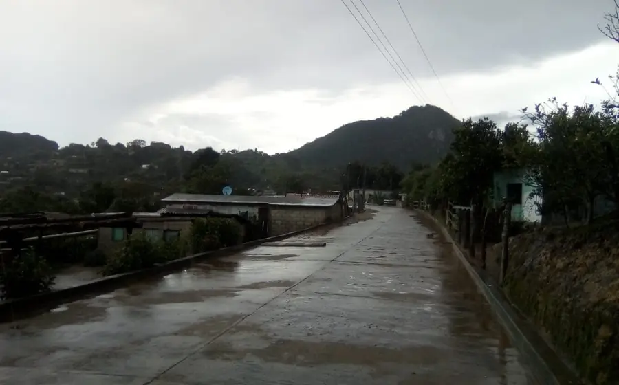 Campo de cultivo de durazno en San Miguel Tenango, donde agricultores apuestan por esta fruta como alternativa ante la crisis del maíz.