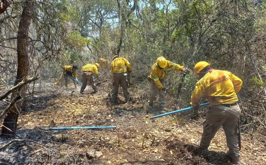 Equipos de emergencia y voluntarios trabajan para sofocar el incendio forestal que consumió una parte de la selva en la región de Cuicatlán.