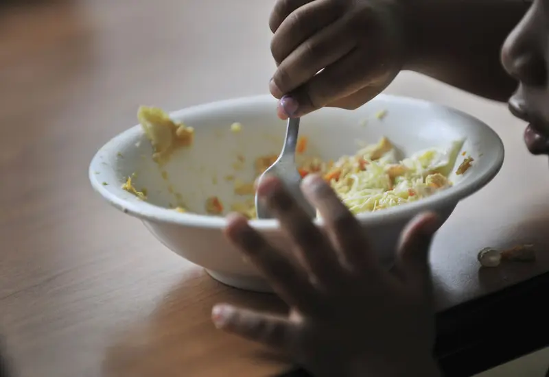 alimentación 