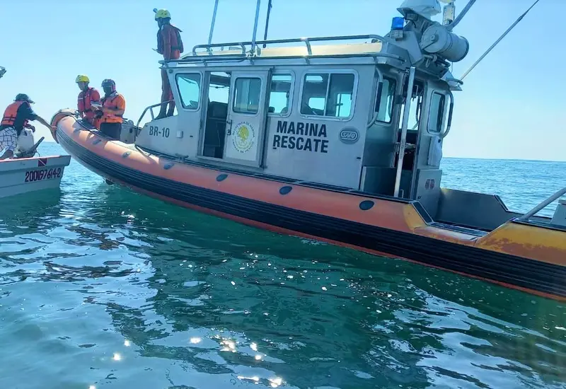 Rescate de ballena