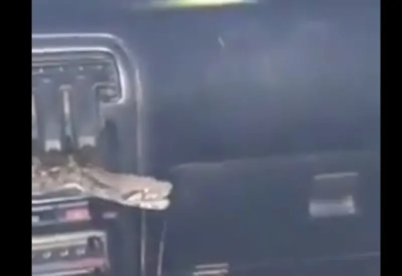 Un bombero ayudó a sacar al reptil de la unidad de motor después de varios intentos fallidos. 