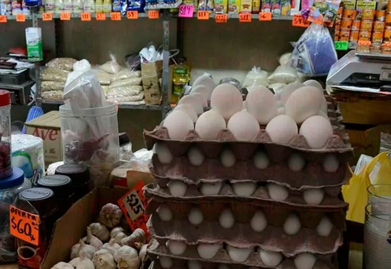 Cono de huevos, latas y abarrotes