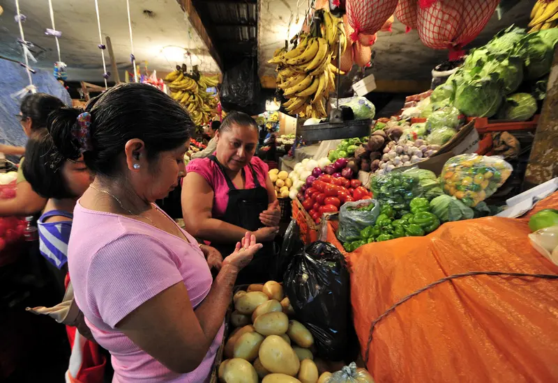 alimentos 