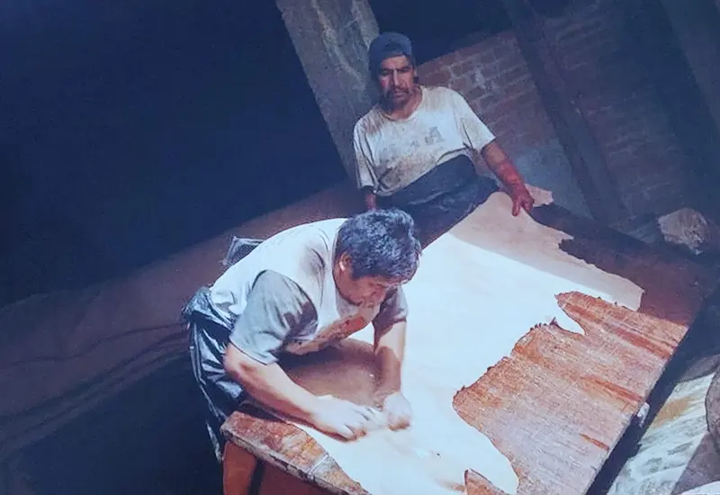 Curtidores oaxaqueños