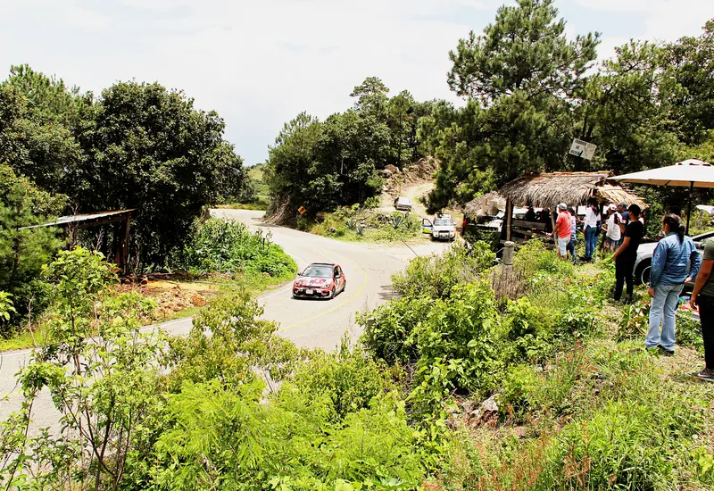 Rally