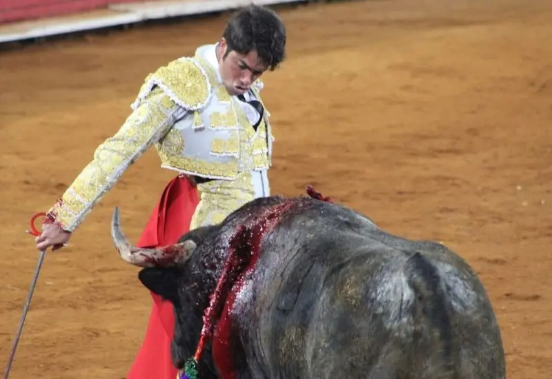 Tauromaquia