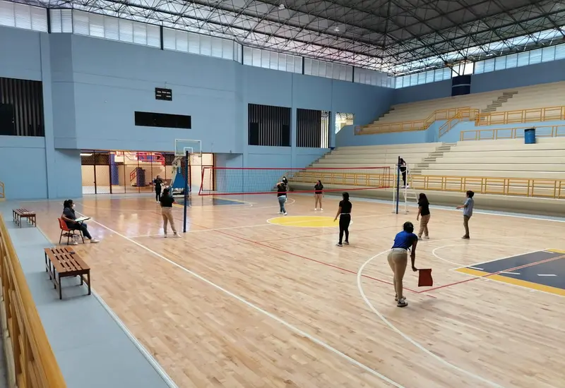 voleibol 