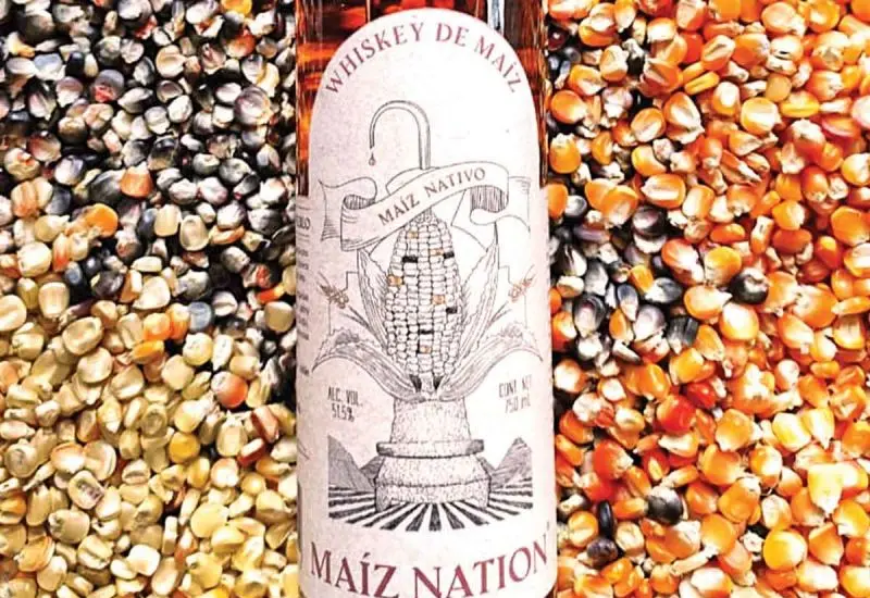 Whisky de maíz hecho en Oaxaca