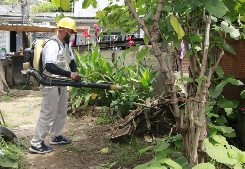 Personal con químicos contra el dengue