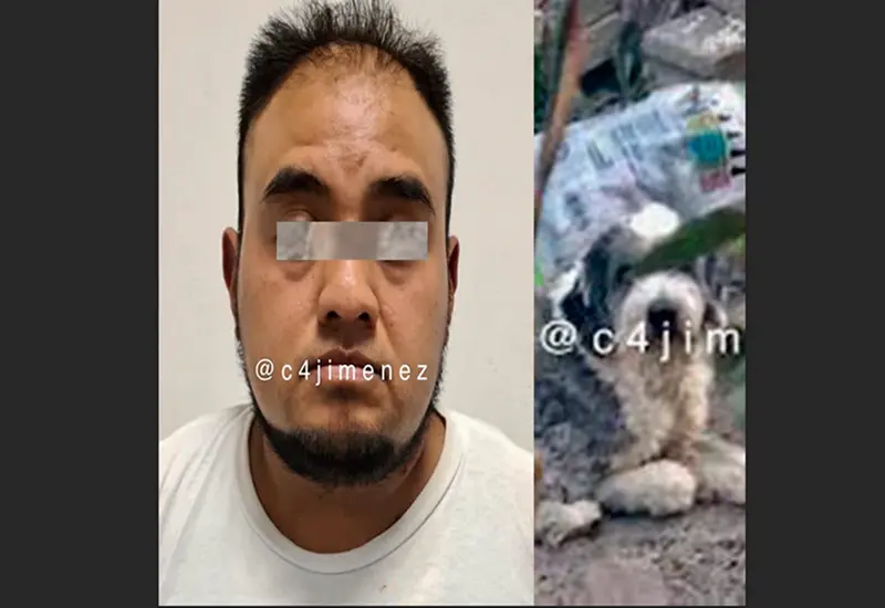  El padrastro fue detenido como sospechoso de violación al igual que el can.