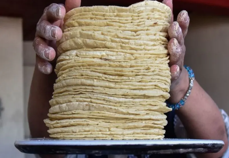 El incremento en la tortilla se presentaría por los ajustes de las harineras a nivel mundial, además de la inflación que se vive en los precios en nuestro país.