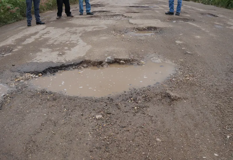 bache