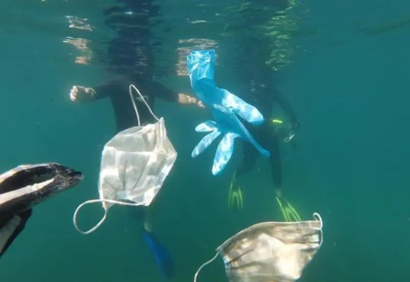 contaminación de los mares