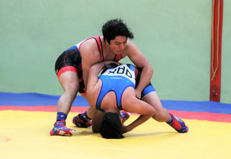 Lucha grecorromana