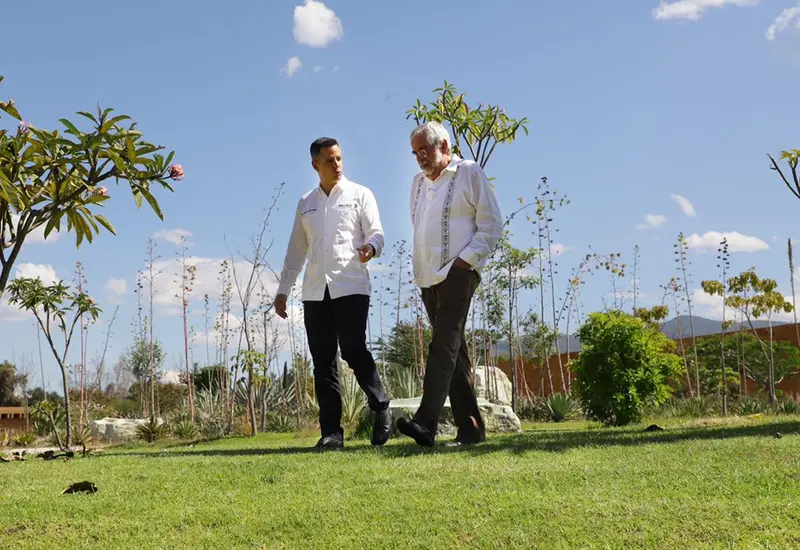 Murat y Graue