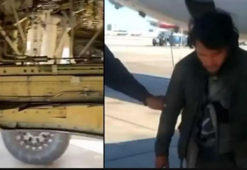 En las imágenes se muestra al polizón luciendo aturdido; sin embargo, pese al difícil viaje resultó ileso.  