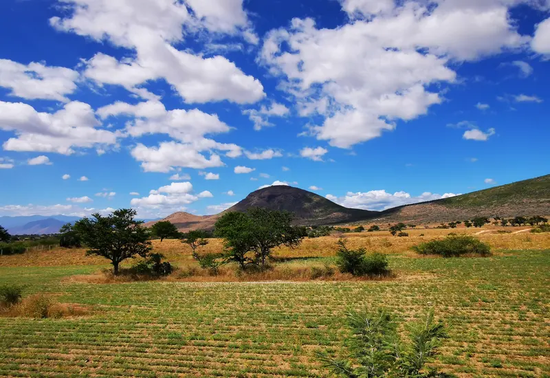 Campo y cielo azul con nubes