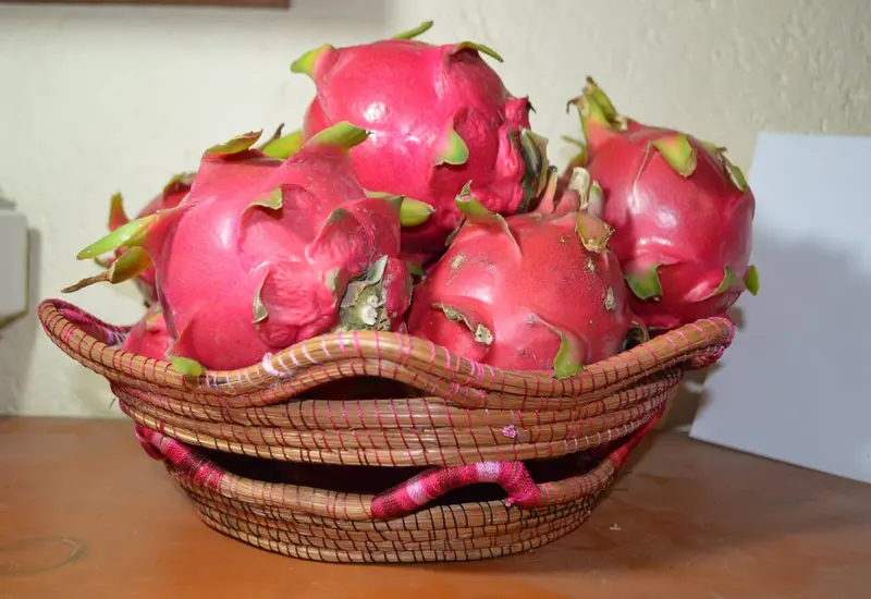 Pitahaya