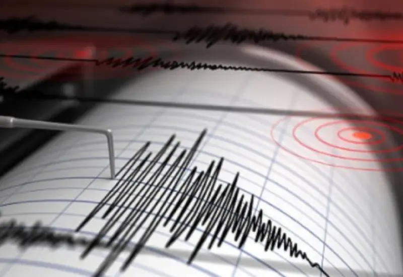 Al parecer el terremoto fue una réplica menor de uno de magnitud 7.9 que sacudió las islas Bonin frente a Japón continental en 2015.
